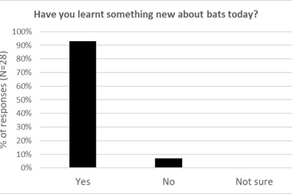 Participants' responses